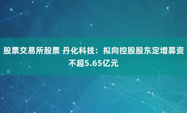股票交易所股票 丹化科技：拟向控股股东定增募资不超5.65亿元