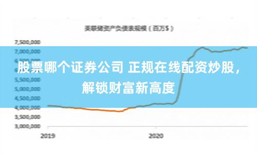 股票哪个证券公司 正规在线配资炒股，解锁财富新高度