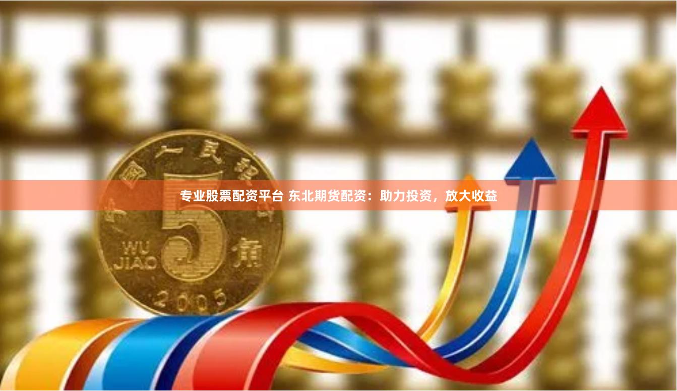 专业股票配资平台 东北期货配资：助力投资，放大收益