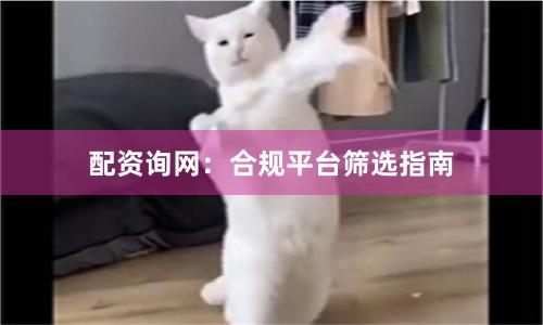 配资询网：合规平台筛选指南